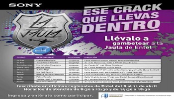 cache/resized/74b13821f0e0e27cac4e298c93bb98f8.jpg